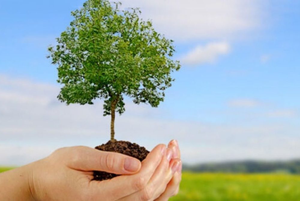 Environmental-Services-1170x694 (1)